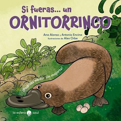 SI FUERAS... UN ORNITORRINCO | 9788419472427 | VVAA | Llibreria La Gralla | Librería online de Granollers