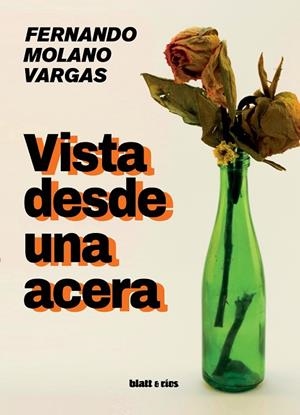 VISTA DESDE UNA ACERA | 9788412580372 | MOLANO VARGAS, FERNANDO | Llibreria La Gralla | Librería online de Granollers
