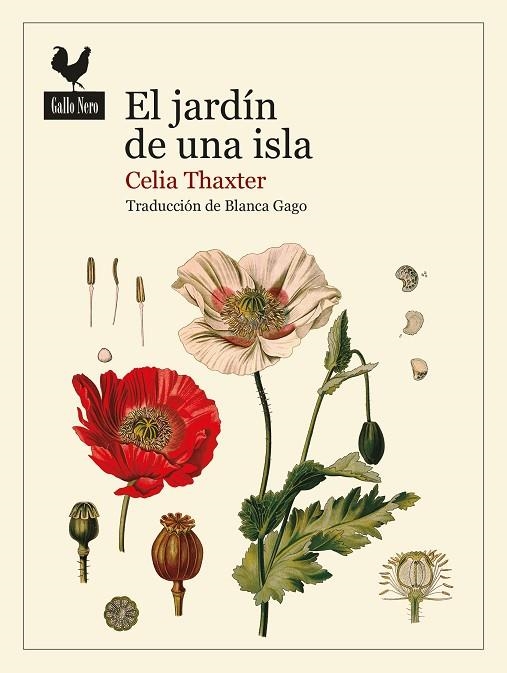JARDÍN DE UNA ISLA, EL  | 9788419168139 | THAXTER, CELIA | Llibreria La Gralla | Librería online de Granollers