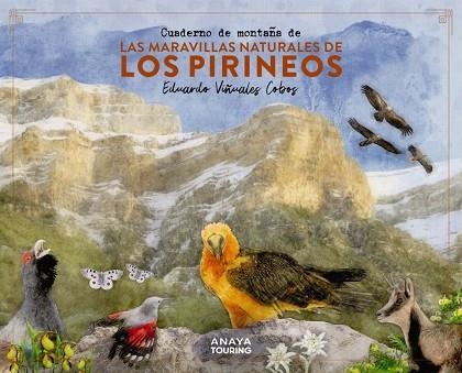 CUADERNO DE MONTAÑA DE LAS MARAVILLAS NATURALES DE LOS PIRINEOS | 9788491586036 | VIÑUALES COBOS, EDUARDO | Llibreria La Gralla | Librería online de Granollers