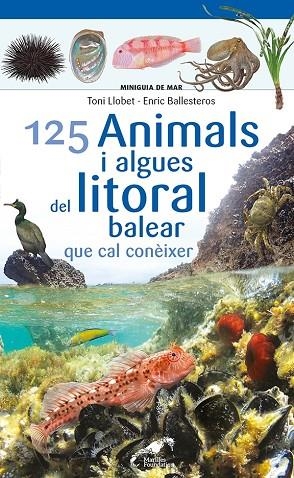 125 ANIMALS I ALGUES DEL LITORAL BALEAR QUE CAL CONÈIXER | 9788413562704 | BALLESTEROS SAGARRA, ENRIC | Llibreria La Gralla | Librería online de Granollers