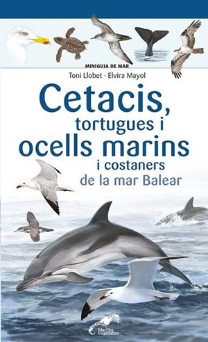 CETACIS, TORTUGUES I OCELLS MARINS I COSTANERS DE LA MAR BALEAR | 9788413562735 | MAYOL, ELVIRA | Llibreria La Gralla | Librería online de Granollers