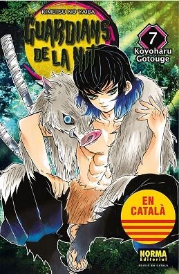 GUARDIANS DE LA NIT 07 | 9788467958539 | KOYOHARU GOTOUGE | Llibreria La Gralla | Librería online de Granollers