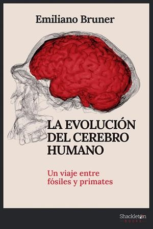 EVOLUCIÓN DEL CEREBRO HUMANO, LA  | 9788413612249 | BRUNER, EMILIANO | Llibreria La Gralla | Librería online de Granollers