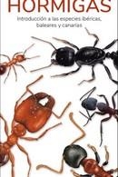 HORMIGAS  GUIAS DESPLEGABLES TUNDRA | 9788418458569 | HERNANDEZ, VICTOR J. | Llibreria La Gralla | Librería online de Granollers