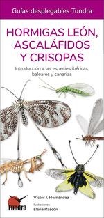 HORMIGAS LEON ASCALAFIDOS Y CRISOPAS | 9788418458507 | HERNANDEZ, VICTOR J. | Llibreria La Gralla | Librería online de Granollers