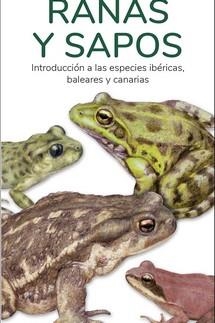 RANAS Y SAPOS  GUIAS DESPLEGABLES TUNDRA | 9788419624109 | HERNANDEZ, VICTOR J. | Llibreria La Gralla | Librería online de Granollers