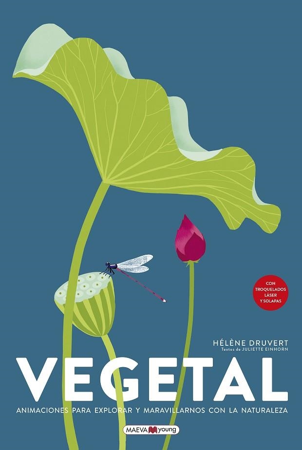 VEGETAL | 9788419110879 | DRUVERT, HÉLÈNE | Llibreria La Gralla | Llibreria online de Granollers