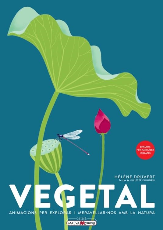 VEGETAL | 9788419110886 | DRUVERT, HÉLÈNE | Llibreria La Gralla | Librería online de Granollers