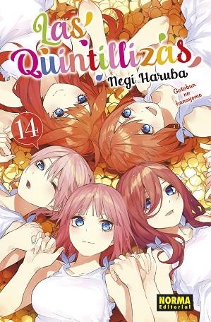 LAS QUINTILLIZAS 14 | 9788467949421 | HARUBA, NEGI | Llibreria La Gralla | Librería online de Granollers