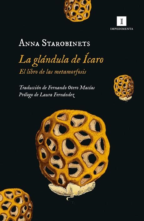 GLÁNDULA DE ÍCARO, LA | 9788419581020 | STAROBINETS, ANNA | Llibreria La Gralla | Llibreria online de Granollers