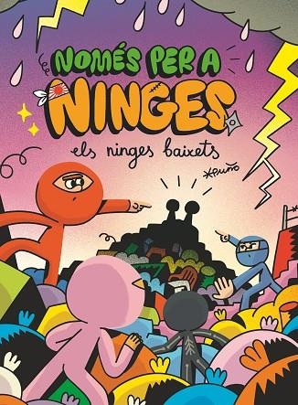 NINGES BAIXETS, ELS NOMÉS PER A NINGES 6 | 9788466154307 | PUÑO, PUÑO | Llibreria La Gralla | Llibreria online de Granollers