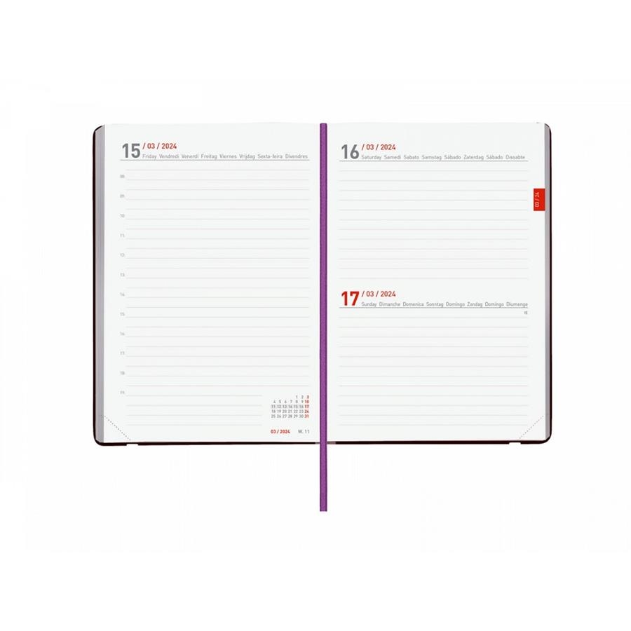 AGENDA MARA FINOCAM 2023-2024 1/8 18 MESOS DIA PAGINA  | 8422952357766 | FINOCAM | Llibreria La Gralla | Llibreria online de Granollers