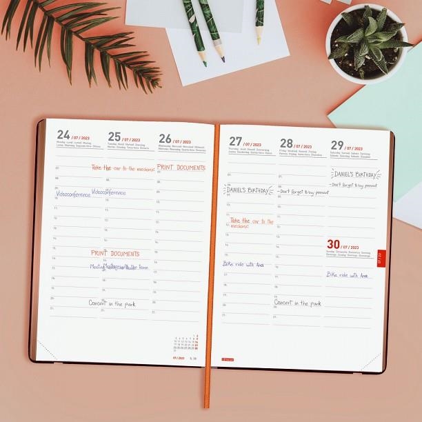 AGENDA MARA 18 MESOS 2023-24 FINOCAM SETMANA VISTA VERTICAL A5 | 8422952357827 | FINOCAM | Llibreria La Gralla | Llibreria online de Granollers