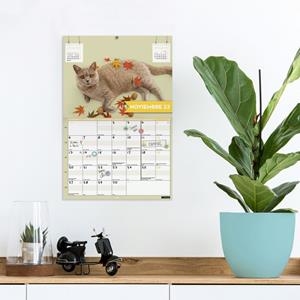 CALENDARI PARET 16 MESOS FINOCAM 2024 MES VISTA FUNNY CATS | 8422952359678 | FINOCAM | Llibreria La Gralla | Llibreria online de Granollers