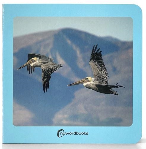 AVES | 9788412534498 | AA.VV. | Llibreria La Gralla | Librería online de Granollers