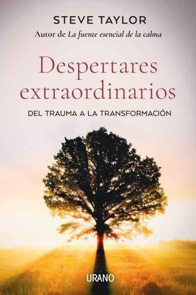 DESPERTARES EXTRAORDINARIOS | 9788418714061 | TAYLOR, STEVE | Llibreria La Gralla | Llibreria online de Granollers