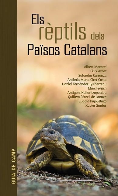 RÈPTILS DELS PAÏSOS CATALANS, ELS | 9788418096570 | AA.VV. | Llibreria La Gralla | Llibreria online de Granollers