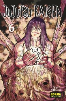 JUJUTSU KAISEN 06 (NUEVO PVP) | 9788467961164 | GEGE AKUTAMI | Llibreria La Gralla | Llibreria online de Granollers
