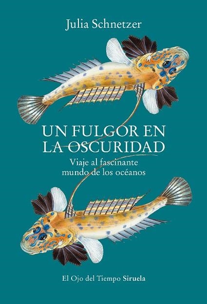 FULGOR EN LA OSCURIDAD, UN  | 9788419553119 | SCHNETZER, JULIA | Llibreria La Gralla | Librería online de Granollers