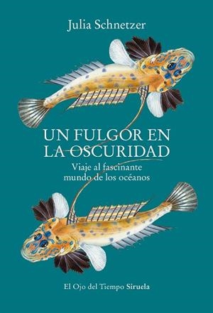 FULGOR EN LA OSCURIDAD, UN | 9788419553119 | SCHNETZER, JULIA | Llibreria La Gralla | Llibreria online de Granollers