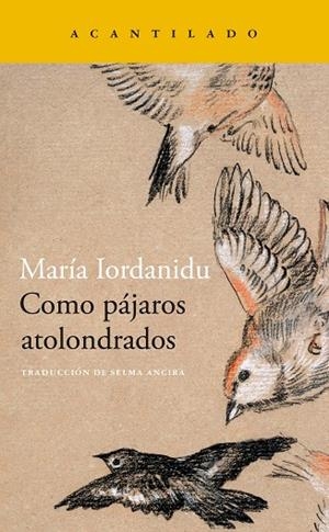 COMO PÁJAROS ATOLONDRADOS | 9788419036704 | IORDANIDU, MARIA | Llibreria La Gralla | Librería online de Granollers