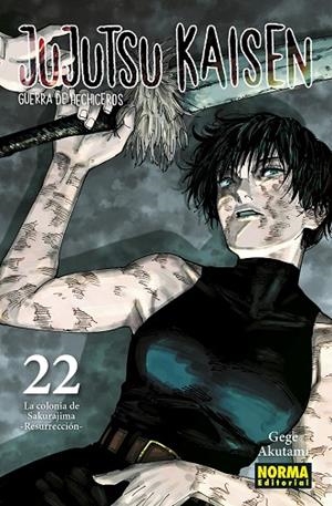 JUJUTSU KAISEN 22 | 9788467962000 | AKUTAMI, GEGE | Llibreria La Gralla | Librería online de Granollers