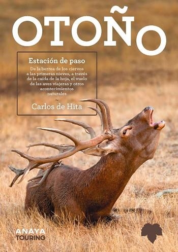 OTOÑO. ESTACIÓN DE PASO | 9788491586685 | HITA MORENO, CARLOS DE | Llibreria La Gralla | Librería online de Granollers