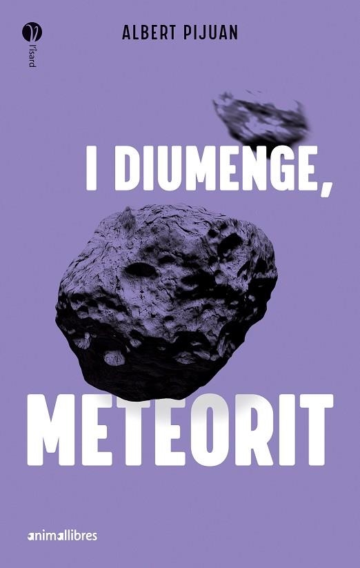 I DIUMENGE, METEORIT | 9788419659415 | ALBERT PIJUAN, ALBERT | Llibreria La Gralla | Llibreria online de Granollers