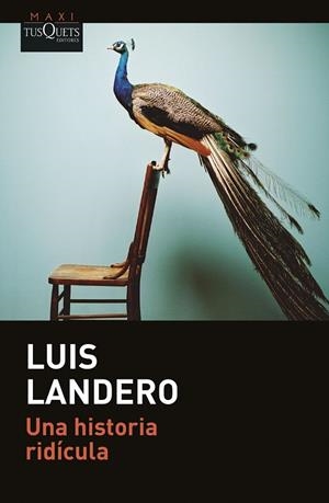 UNA HISTORIA RIDÍCULA | 9788411073288 | LANDERO, LUIS | Llibreria La Gralla | Librería online de Granollers