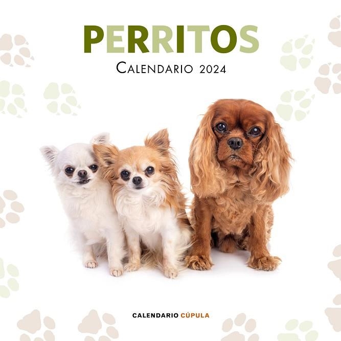 CALENDARIO PERRITOS 2024 | 9788448038069 | AA. VV. | Llibreria La Gralla | Librería online de Granollers