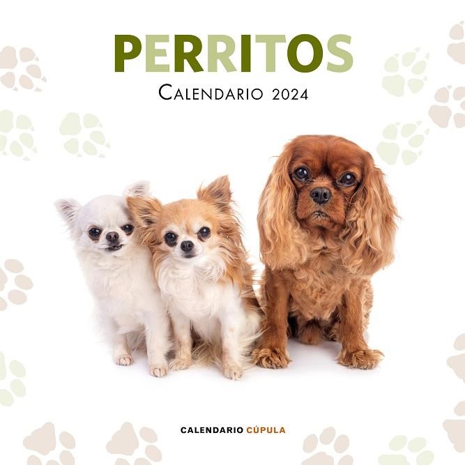 CALENDARIO PERRITOS 2024 | 9788448038069 | AA. VV. | Llibreria La Gralla | Llibreria online de Granollers