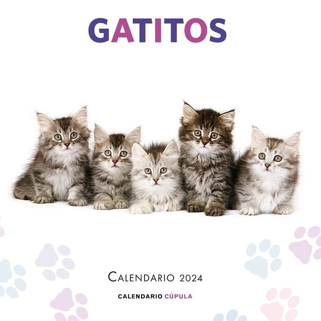 CALENDARIO GATITOS 2024 | 9788448038076 | AA. VV. | Llibreria La Gralla | Llibreria online de Granollers