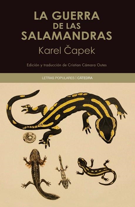 GUERRA DE LAS SALAMANDRAS, LA  | 9788437646466 | CAPEK, KAREL | Llibreria La Gralla | Llibreria online de Granollers