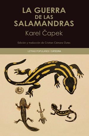 GUERRA DE LAS SALAMANDRAS, LA | 9788437646466 | CAPEK, KAREL | Llibreria La Gralla | Llibreria online de Granollers