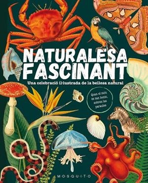 NATURALESA FASCINANT | 9788419095596 | MOSQUITO BOOKS | Llibreria La Gralla | Librería online de Granollers