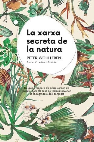 XARXA SECRETA DE LA NATURA, LA | 9788413562872 | WOHLLEBEN, PETER | Llibreria La Gralla | Librería online de Granollers