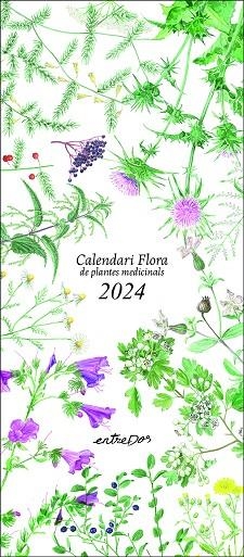 CALENDARI FLORA DE PLANTES MEDICINALS 2024 | 9788418900624 | VILALDAMA, PERE / VILALDAMA, PERE | Llibreria La Gralla | Librería online de Granollers