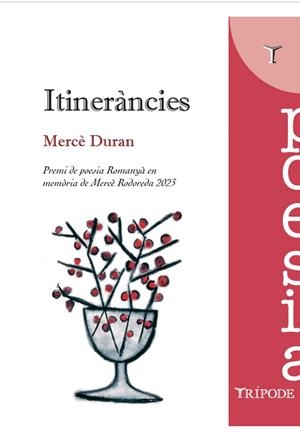 ITINERÀNCIES | 9788412728941 | MERCÉ DURAN | Llibreria La Gralla | Llibreria online de Granollers