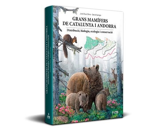 GRANS MAMÍFERS DE CATALUNYA I ANDORRA | 9788416728619 | JORDI RUIZ-OLMO, DAVID CAMPS | Llibreria La Gralla | Llibreria online de Granollers