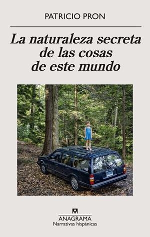 NATURALEZA SECRETA DE LAS COSAS DE ESTE MUNDO, LA | 9788433911186 | PRON, PATRICIO | Llibreria La Gralla | Librería online de Granollers