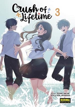 CRUSH OF LIFETIME 03 | 9788467958188 | JEONG, HALIM ;  KIM, YEONWOO | Llibreria La Gralla | Librería online de Granollers