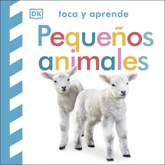 TOCA Y APRENDE: PEQUEÑOS ANIMALES | 9780241637753 | VVAA | Llibreria La Gralla | Llibreria online de Granollers