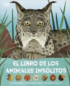 LIBRO DE LOS ANIMALES INSÓLITOS, EL  | 9780241637692 | VVAA | Llibreria La Gralla | Llibreria online de Granollers