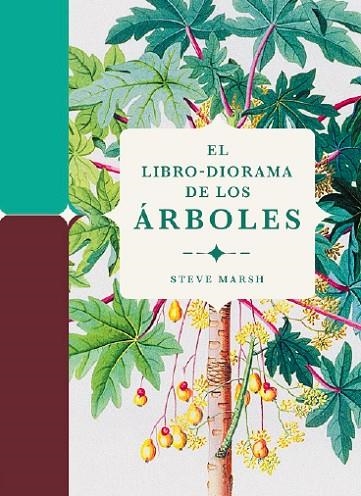 LIBRO-DIORAMA DE LOS ÁRBOLES, EL | 9788412386196 | MARSH, STEVE | Llibreria La Gralla | Librería online de Granollers