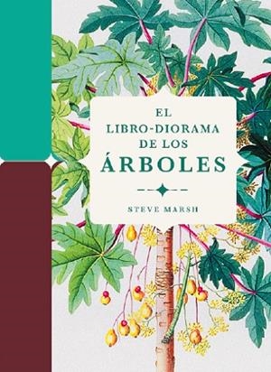 LIBRO-DIORAMA DE LOS ÁRBOLES, EL | 9788412386196 | MARSH, STEVE | Llibreria La Gralla | Llibreria online de Granollers