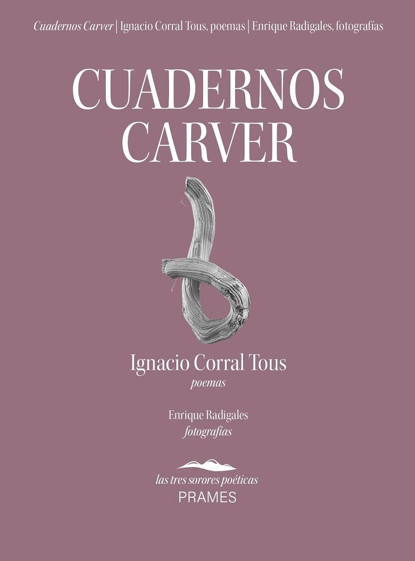 CUADERNOS CARVER | 9788496793859 | CORRAL TOUS, IGANCIO  | Llibreria La Gralla | Llibreria online de Granollers