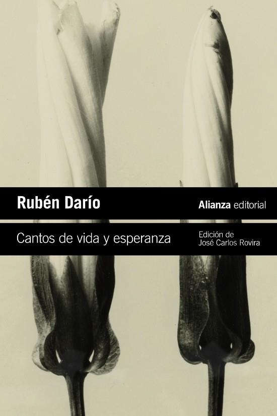 CANTOS DE VIDA Y ESPERANZA (BOLSILLO) | 9788411484381 | DARÍO, RUBÉN | Llibreria La Gralla | Librería online de Granollers