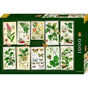 PUZZLE 1000 COLLECTION AGUSTINA | 4050003724676 | COPPENRATH | Llibreria La Gralla | Llibreria online de Granollers