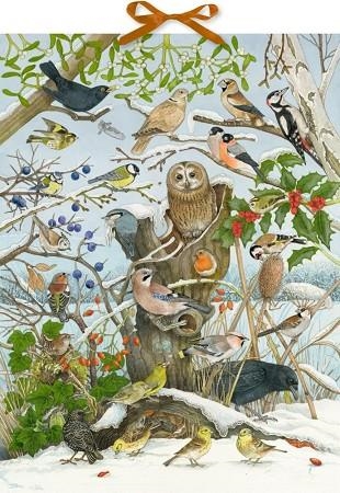 CALENDARI ADVENT OCELLS A LA NATURA (AMB SO) | 4050003952505 | COPPENRATH | Llibreria La Gralla | Llibreria online de Granollers